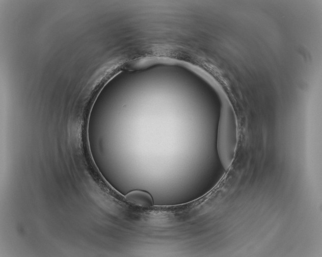 X0000113360154200909291037