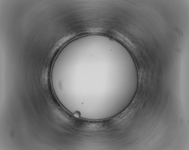 X0000113360155200909291037