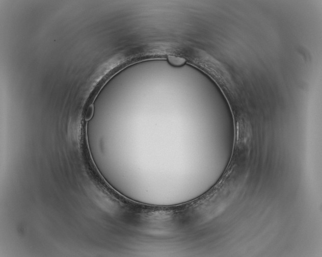 X0000113360156200909291037