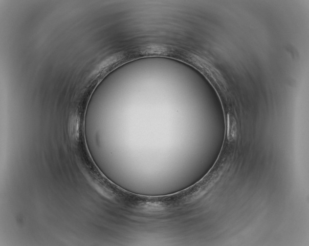 X0000113360157200909291037