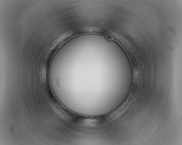 X0000113360158200909291037