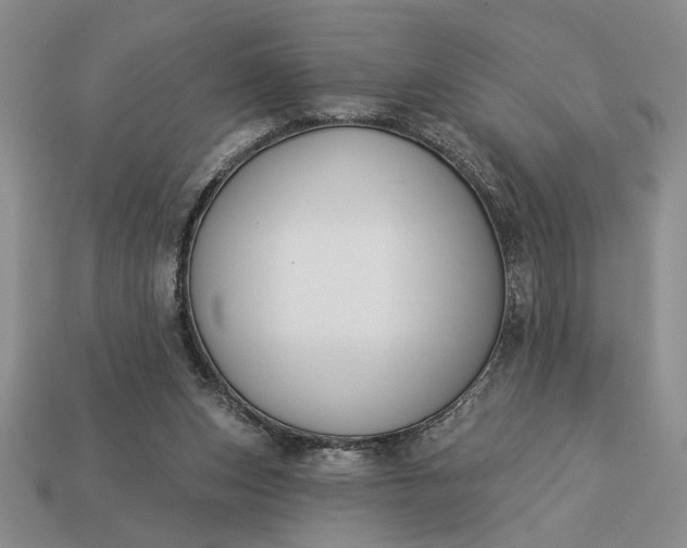 X0000113360159200909291037