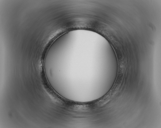 X0000113360160200909291037