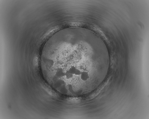 X0000113360161200909291037