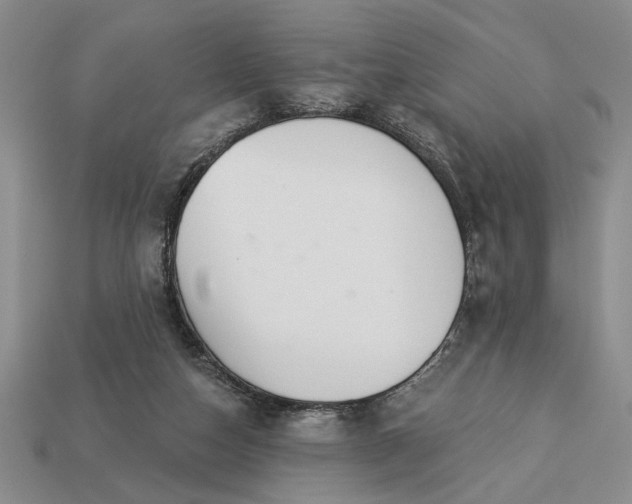 X0000113360162200909291037