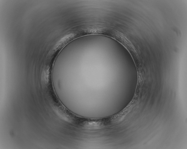 X0000113360163200909291037