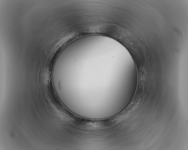 X0000113360164200909291037