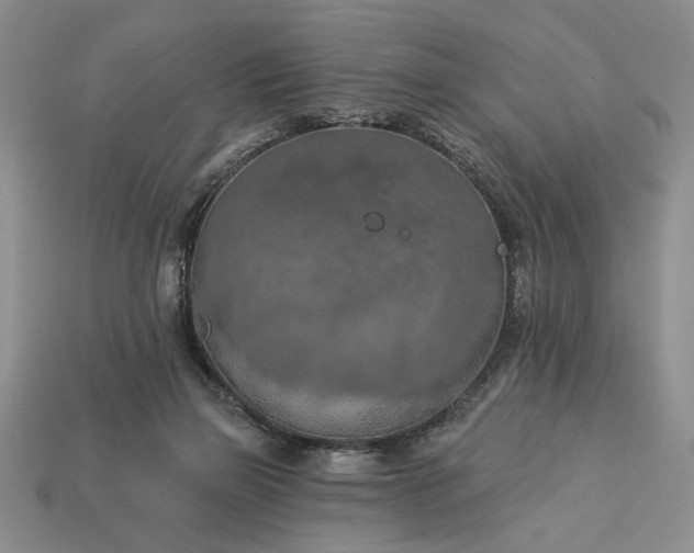 X0000113360165200909291037