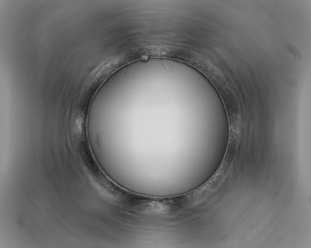 X0000113360166200909291037