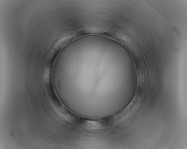 X0000113360167200909291037