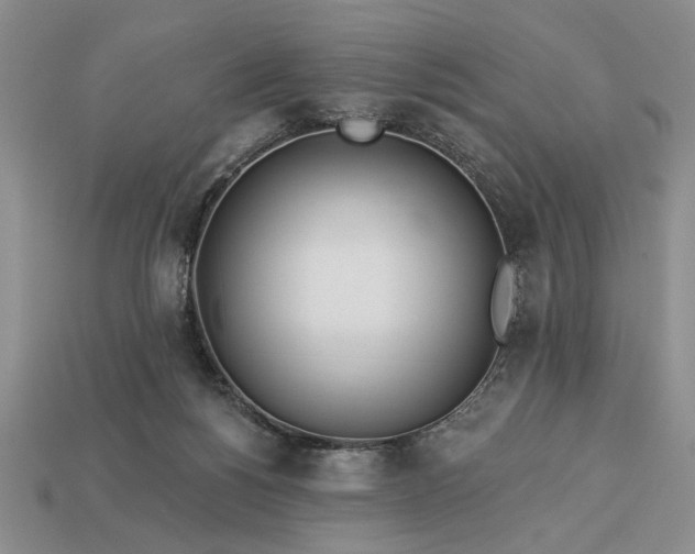 X0000113360168200909291037