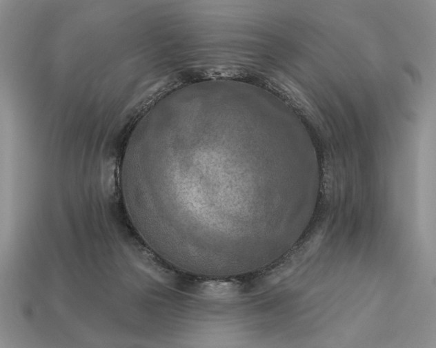 X0000113360169200909291037