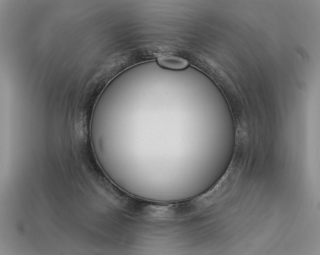 X0000113360170200909291037