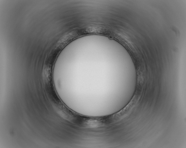 X0000113360171200909291037