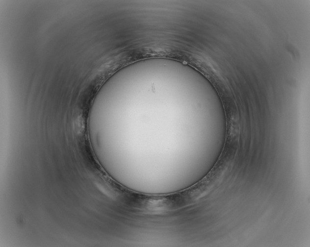 X0000113360173200909291037