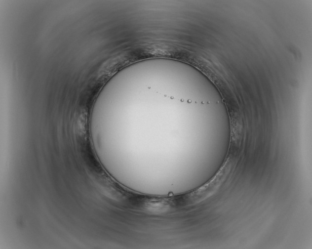 X0000113360175200909291037