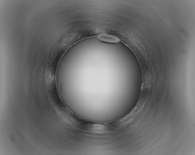 X0000113360176200909291037