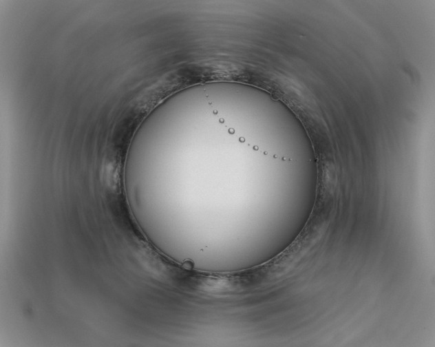 X0000113360177200909291037