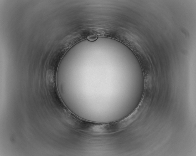 X0000113360178200909291037