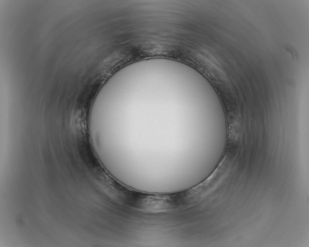 X0000113360179200909291037