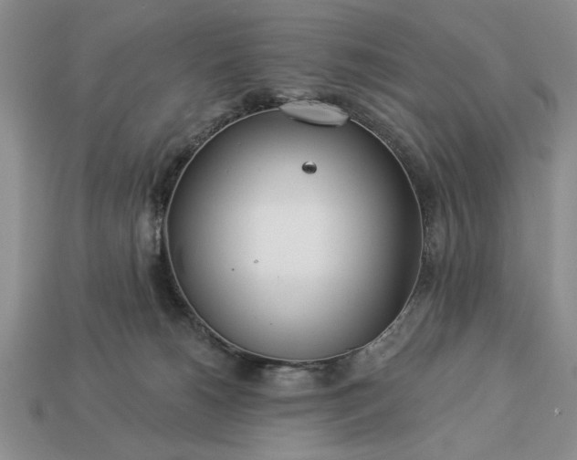 X0000113360180200909291037