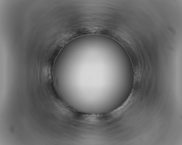 X0000113360182200909291037