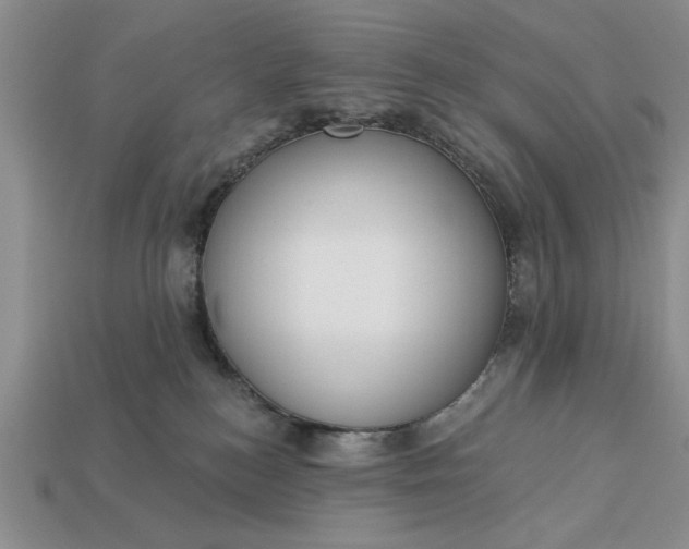 X0000113360184200909291037