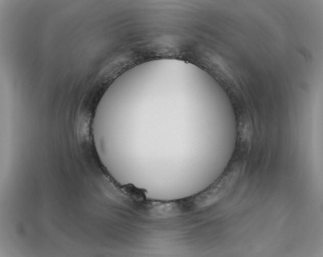 X0000113360185200909291037