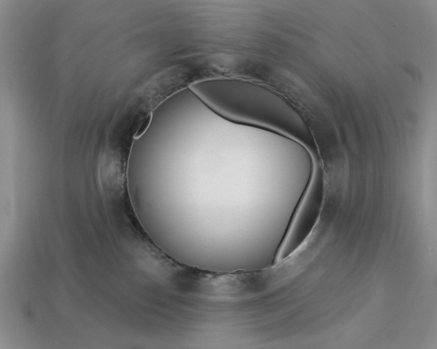 X0000113360186200909291038