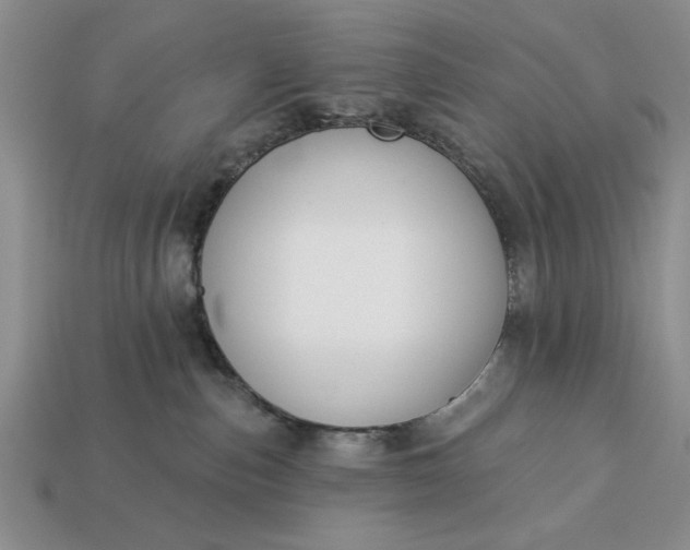 X0000113360187200909291038