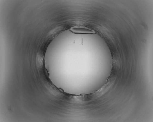 X0000113360188200909291038