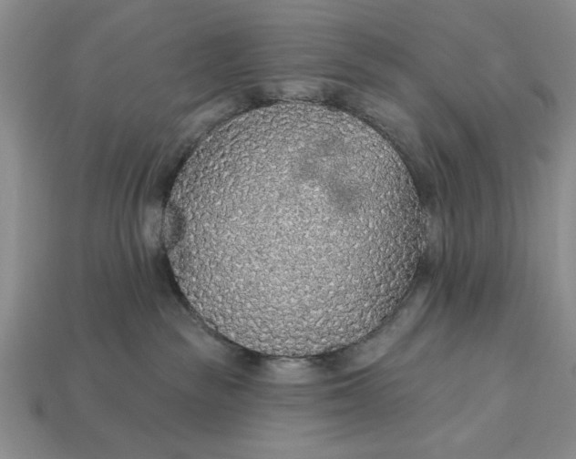 X0000113360189200909291038