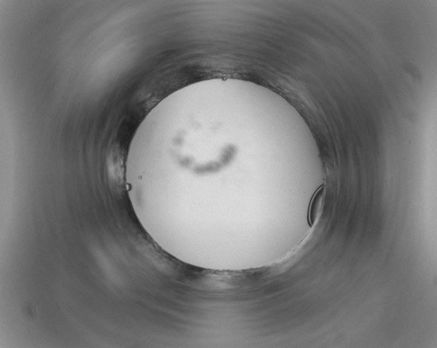 X0000113360190200909291038