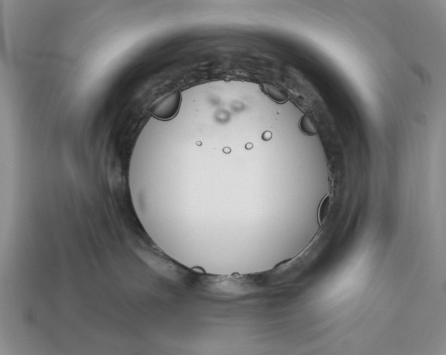 X0000113360191200909291038