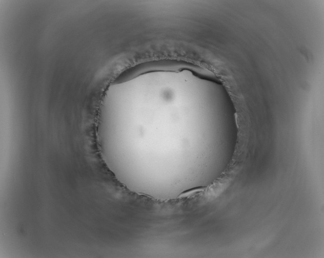 X0000113360192200909291038