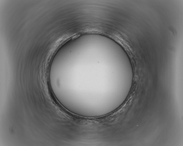 X0000113360193200909291037