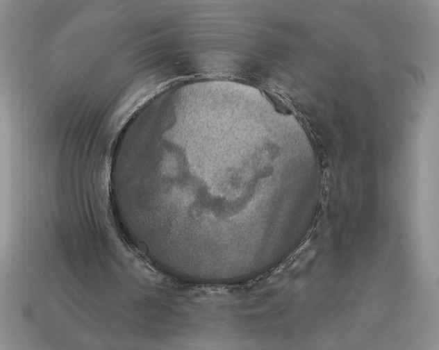 X0000113360194200909291037