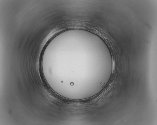 X0000113360195200909291037