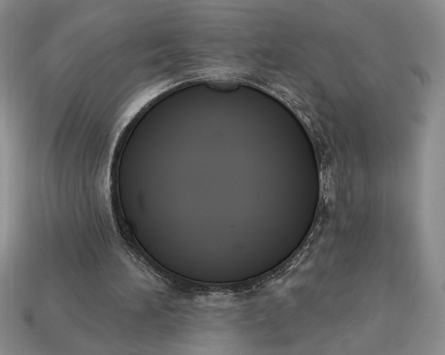 X0000113360196200909291037