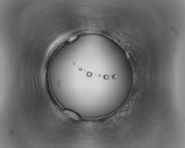 X0000113360197200909291037