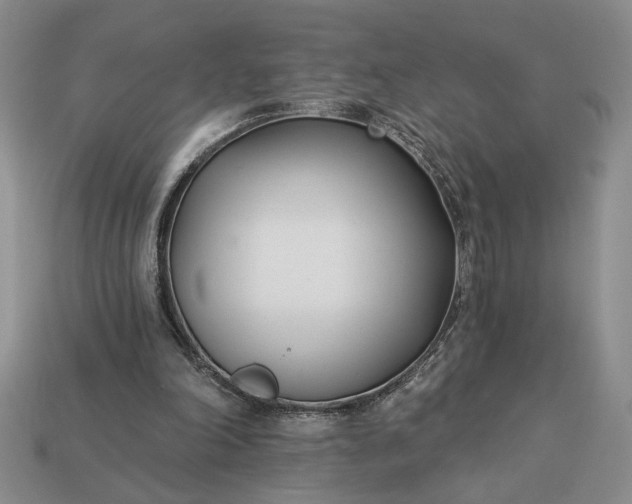 X0000113360198200909291037