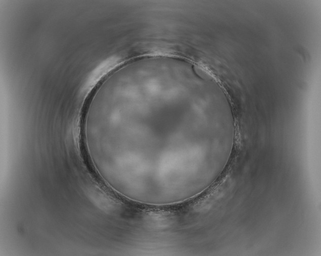 X0000113360199200909291037