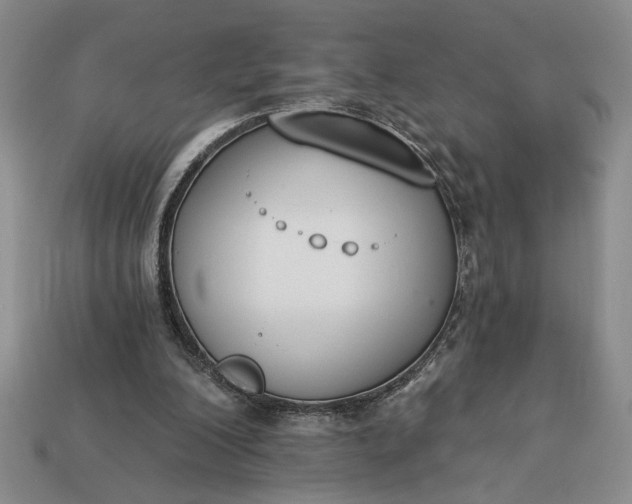 X0000113360200200909291037