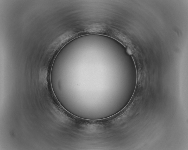 X0000113360201200909291037