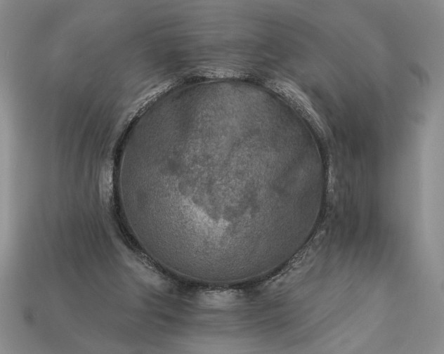 X0000113360202200909291037