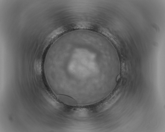 X0000113360203200909291037