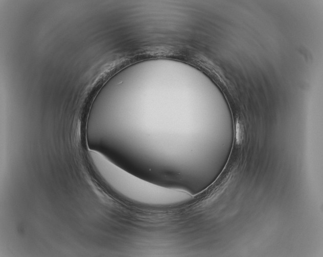 X0000113360205200909291037