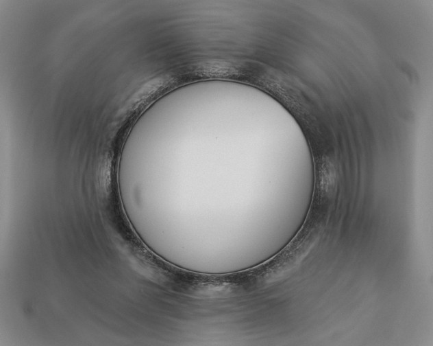 X0000113360206200909291037