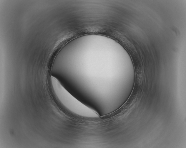 X0000113360207200909291037