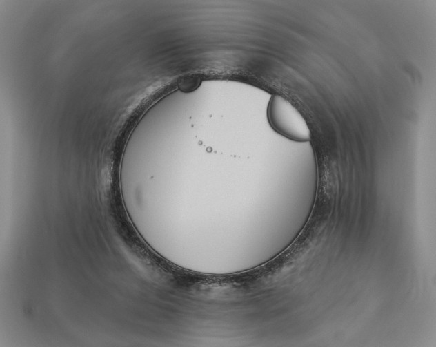 X0000113360208200909291037